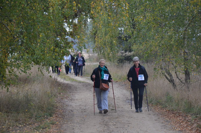 W jesiennej scenerii (zdjęcia)