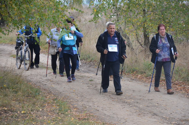 W jesiennej scenerii (zdjęcia)