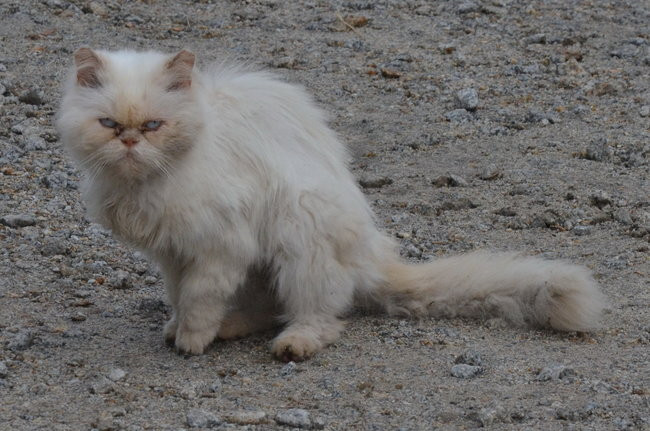 Za tydzień powtórka (zdjęcia)