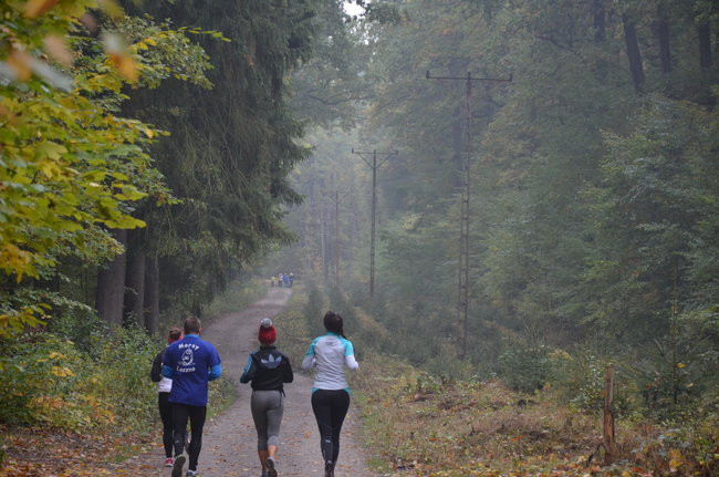 Za tydzień powtórka (zdjęcia)