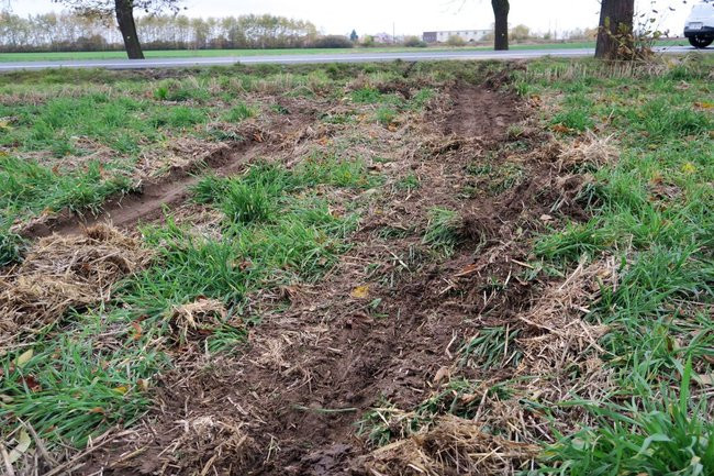 Kolizja w Karolewku, honda poza drogą (kilka zdjęć)