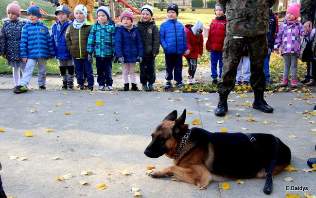 Żandarmi w Przedszkolu Miejskim nr 11 (zdjęcia)