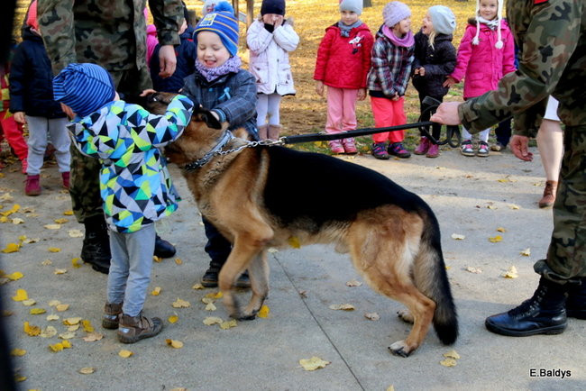 Żandarmi w Przedszkolu Miejskim nr 11 (zdjęcia)