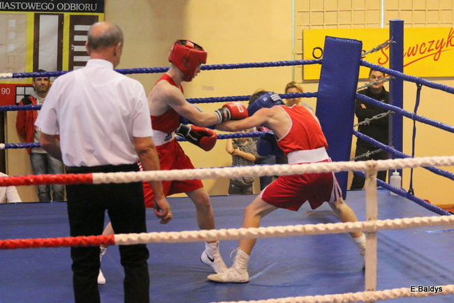 Boksowali na Ćwiczni (zdjęcia)