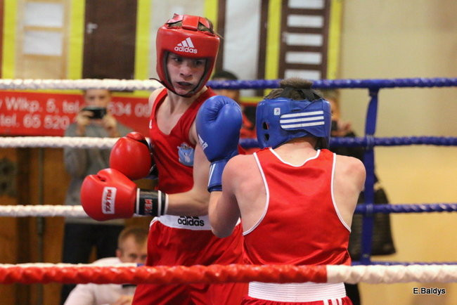 Boksowali na Ćwiczni (zdjęcia)