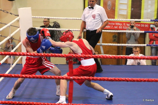 Boksowali na Ćwiczni (zdjęcia)