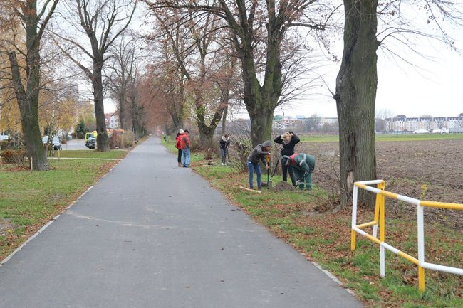 Prezydent posadził swoje pierwsze drzewo (zdjęcia)