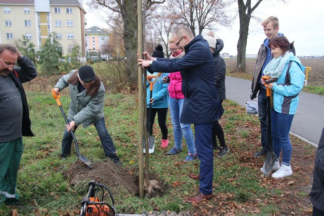 Prezydent posadził swoje pierwsze drzewo (zdjęcia)