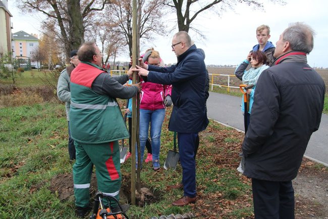 Prezydent posadził swoje pierwsze drzewo (zdjęcia)