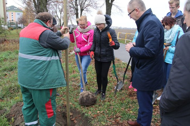 Prezydent posadził swoje pierwsze drzewo (zdjęcia)