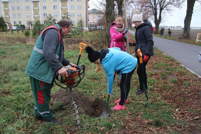 Prezydent posadził swoje pierwsze drzewo (zdjęcia)