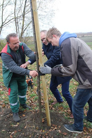 Prezydent posadził swoje pierwsze drzewo (zdjęcia)