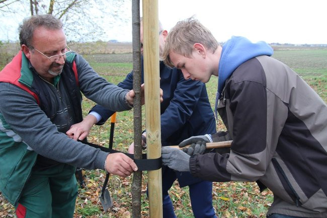 Prezydent posadził swoje pierwsze drzewo (zdjęcia)