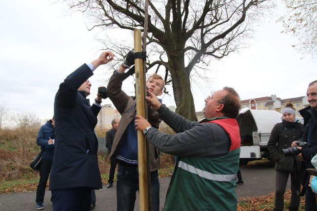 Prezydent posadził swoje pierwsze drzewo (zdjęcia)