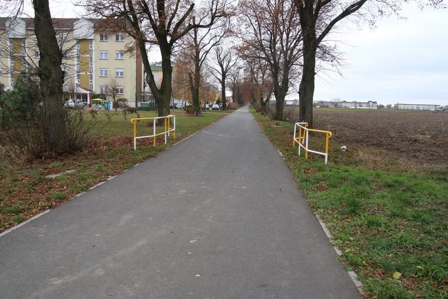 Prezydent posadził swoje pierwsze drzewo (zdjęcia)