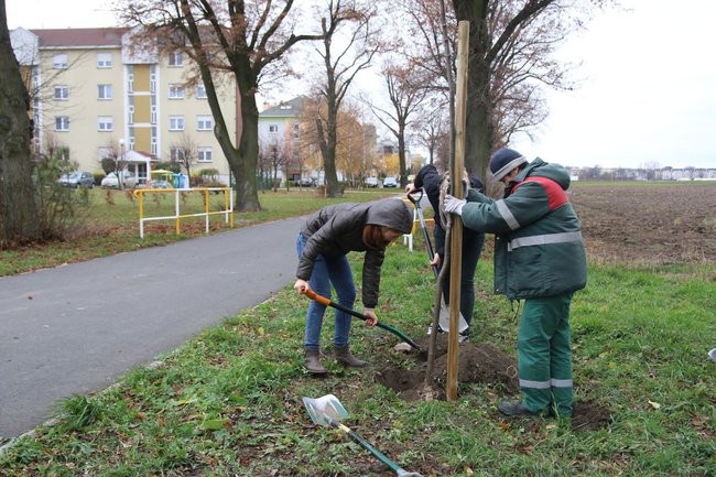 Prezydent posadził swoje pierwsze drzewo (zdjęcia)