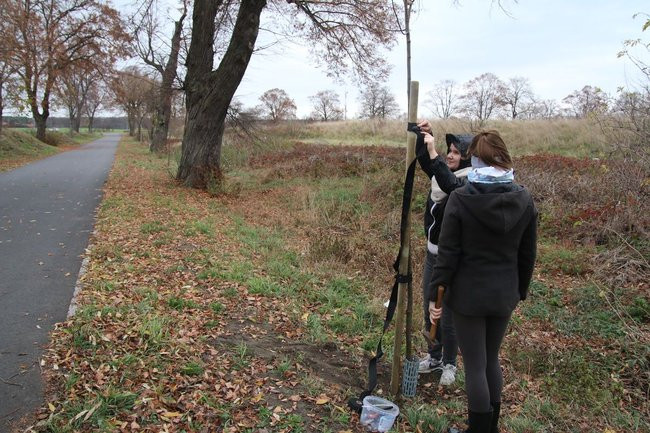 Prezydent posadził swoje pierwsze drzewo (zdjęcia)