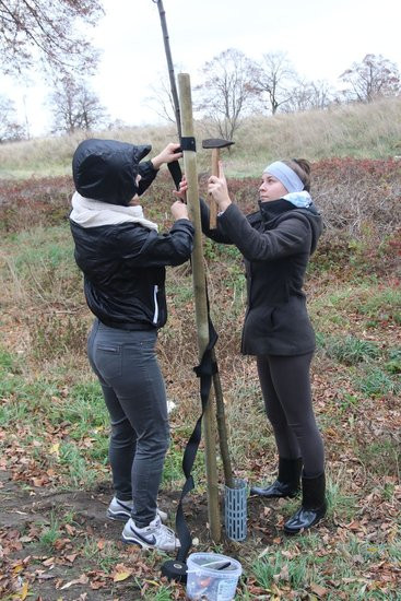 Prezydent posadził swoje pierwsze drzewo (zdjęcia)