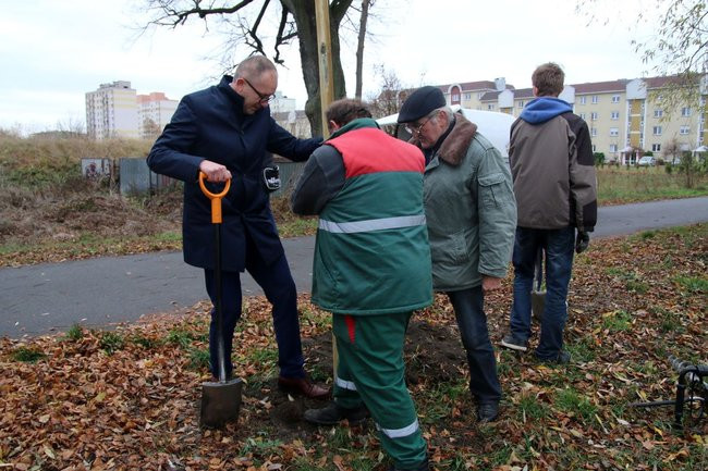Prezydent posadził swoje pierwsze drzewo (zdjęcia)