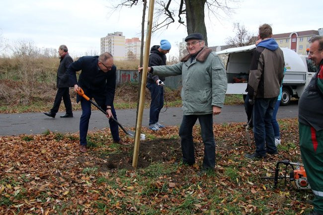 Prezydent posadził swoje pierwsze drzewo (zdjęcia)