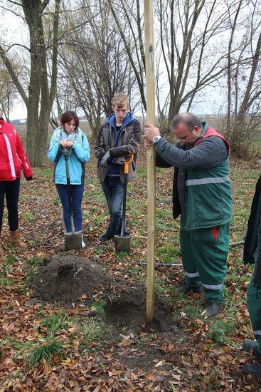Prezydent posadził swoje pierwsze drzewo (zdjęcia)