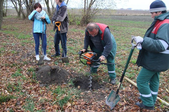 Prezydent posadził swoje pierwsze drzewo (zdjęcia)