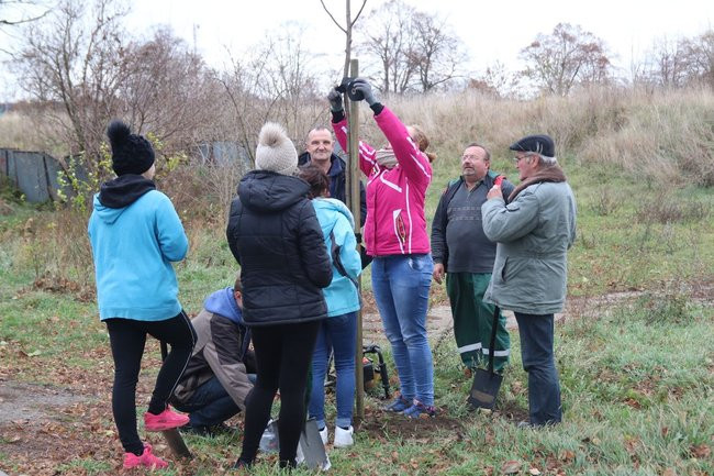 Prezydent posadził swoje pierwsze drzewo (zdjęcia)