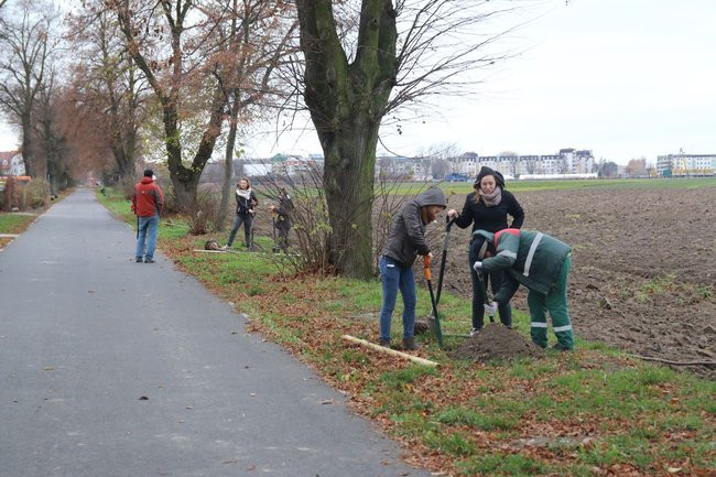 Prezydent posadził swoje pierwsze drzewo (zdjęcia)
