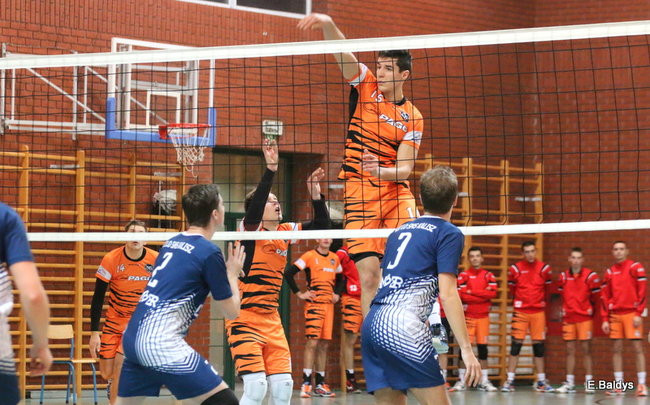 Siatkarze z kompletem (zdjęcia)