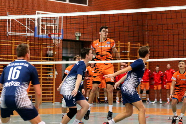 Siatkarze z kompletem (zdjęcia)