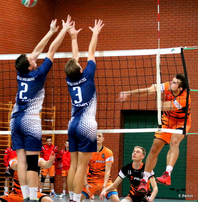 Siatkarze z kompletem (zdjęcia)