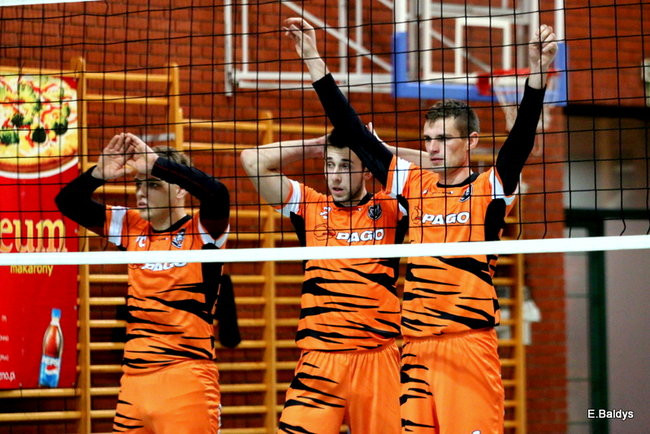 Siatkarze z kompletem (zdjęcia)