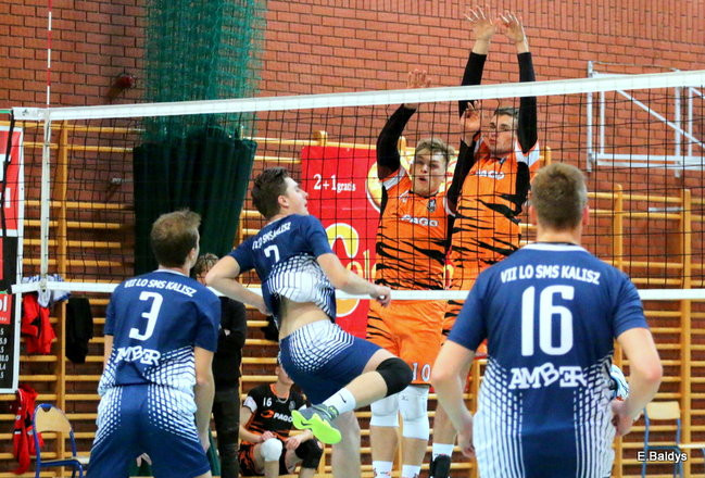 Siatkarze z kompletem (zdjęcia)