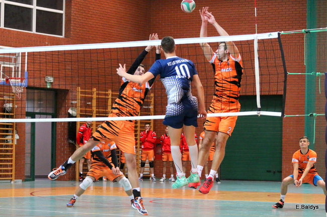 Siatkarze z kompletem (zdjęcia)