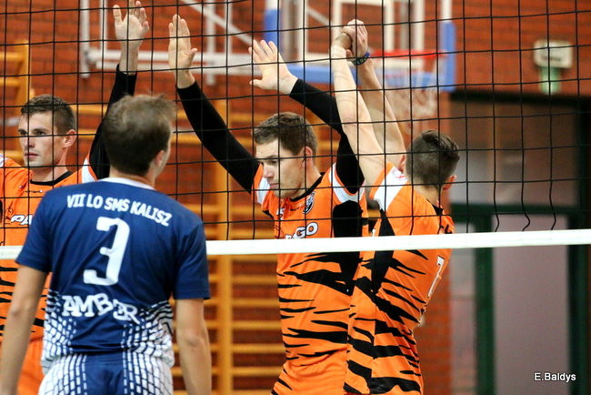 Siatkarze z kompletem (zdjęcia)