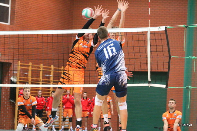 Siatkarze z kompletem (zdjęcia)