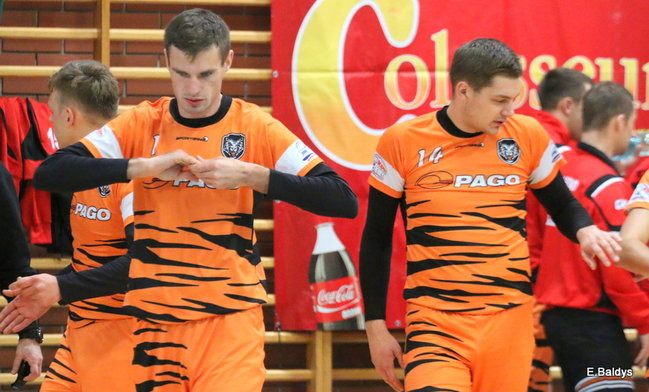 Siatkarze z kompletem (zdjęcia)