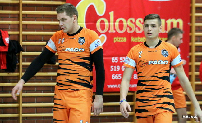 Siatkarze z kompletem (zdjęcia)