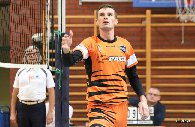 Siatkarze z kompletem (zdjęcia)