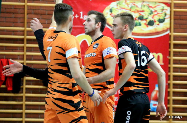 Siatkarze z kompletem (zdjęcia)