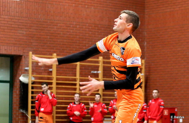 Siatkarze z kompletem (zdjęcia)