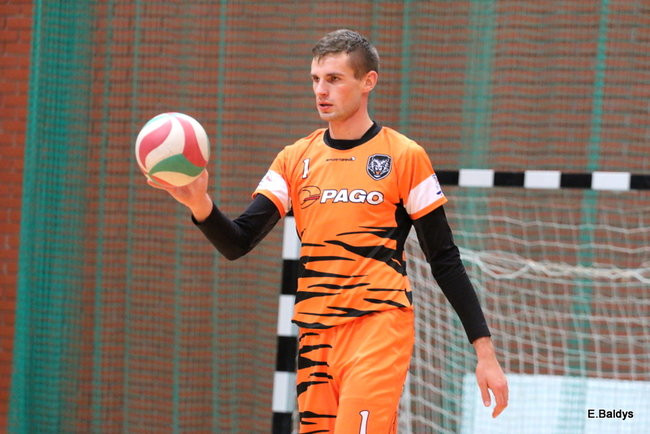 Siatkarze z kompletem (zdjęcia)