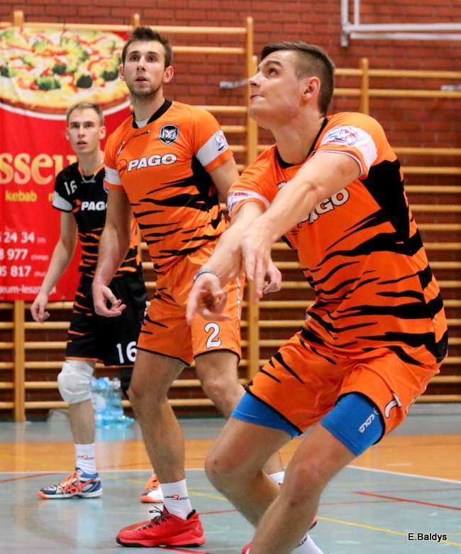 Siatkarze z kompletem (zdjęcia)