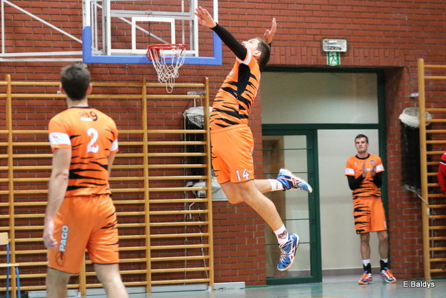 Siatkarze z kompletem (zdjęcia)