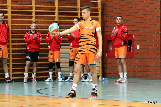 Siatkarze z kompletem (zdjęcia)