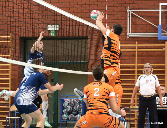 Siatkarze z kompletem (zdjęcia)