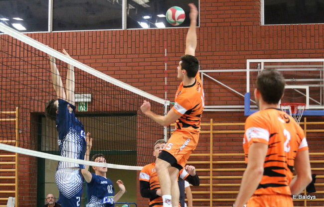 Siatkarze z kompletem (zdjęcia)