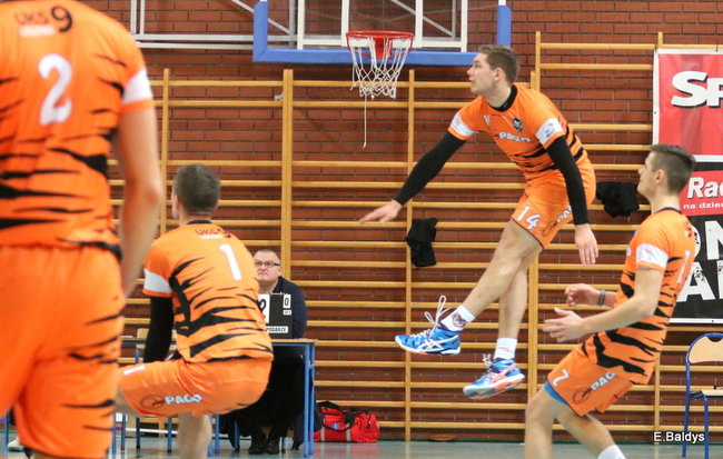 Siatkarze z kompletem (zdjęcia)