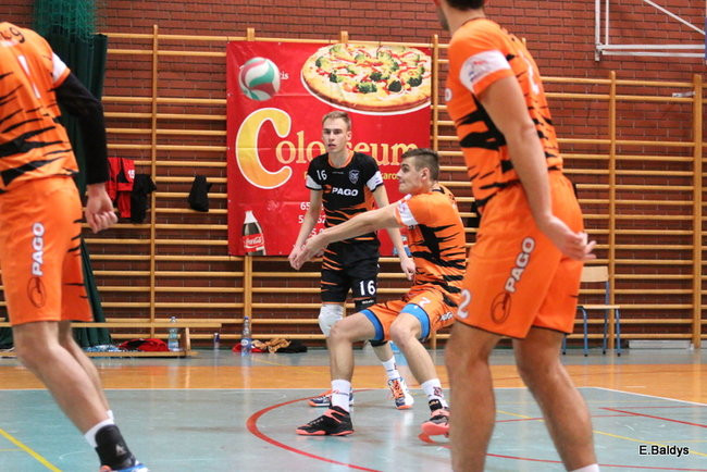 Siatkarze z kompletem (zdjęcia)