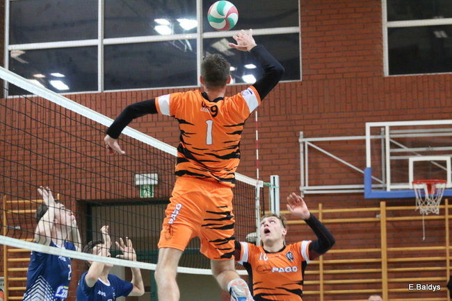 Siatkarze z kompletem (zdjęcia)